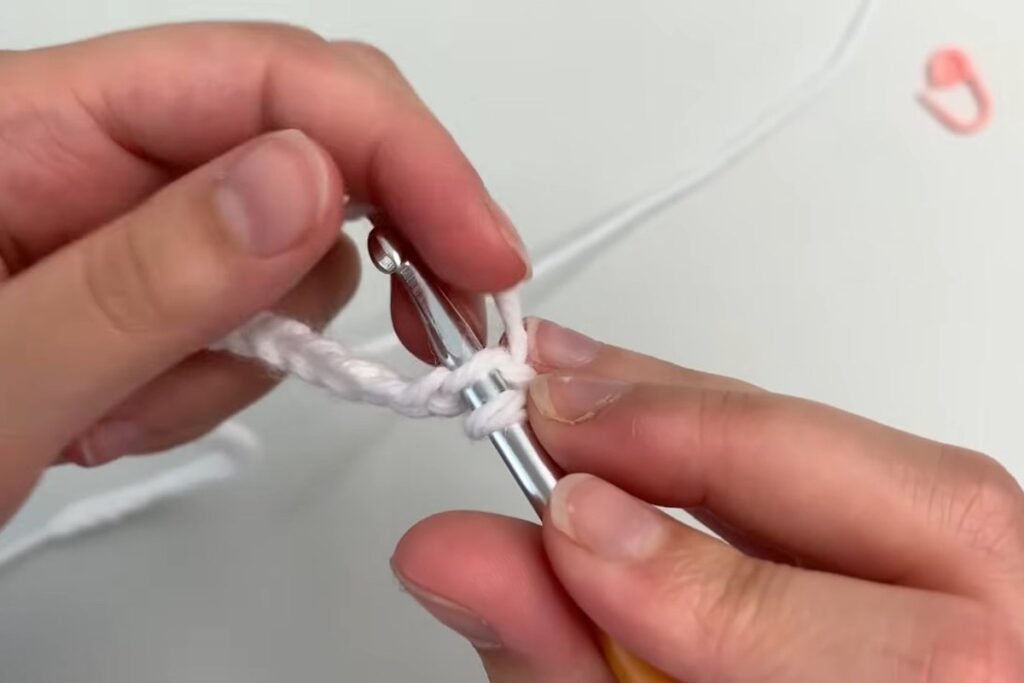 First single crochet worked in the back loop of the second chain from the hook