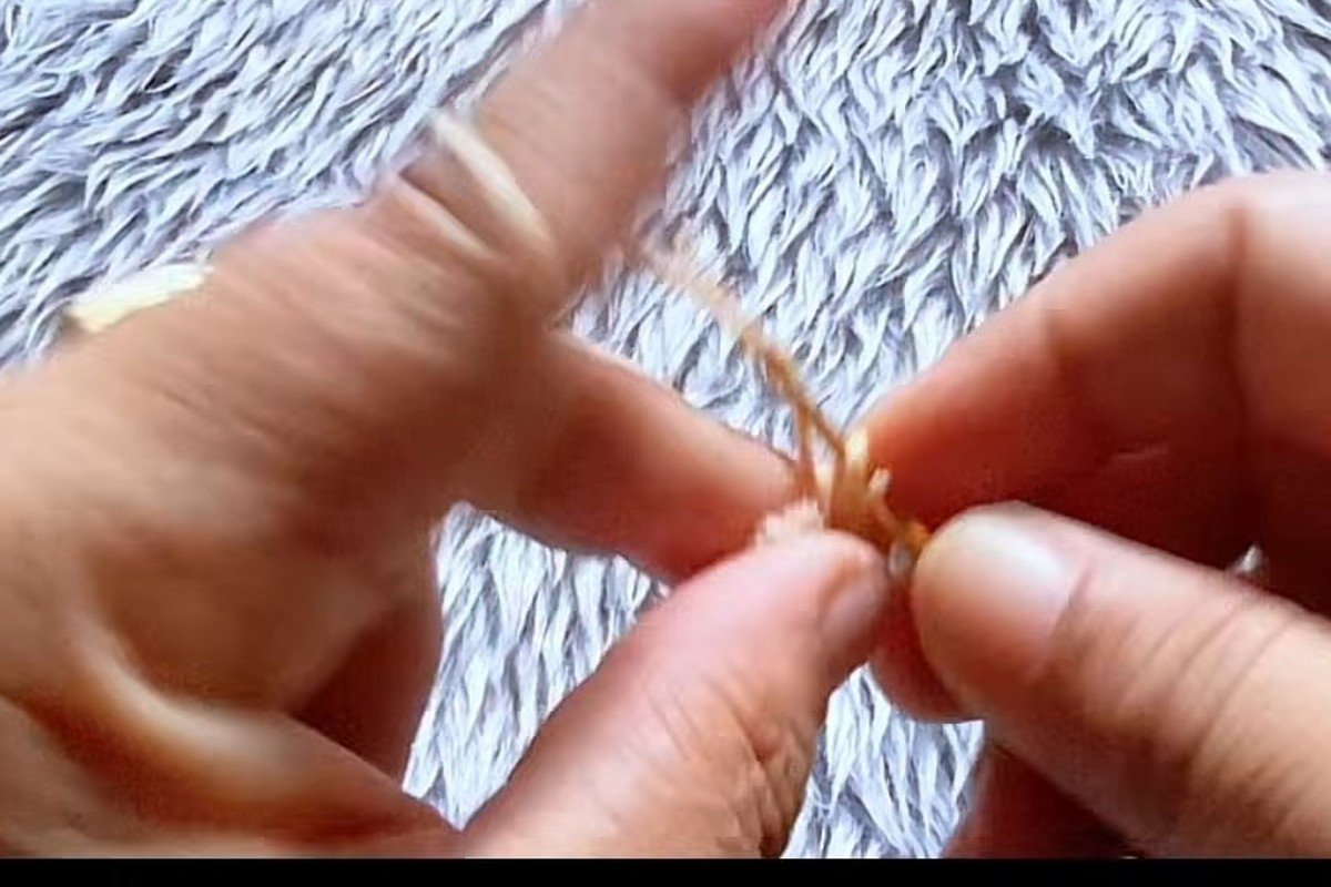 free crochet owl pattern step 3: round 2: increase in every stitch