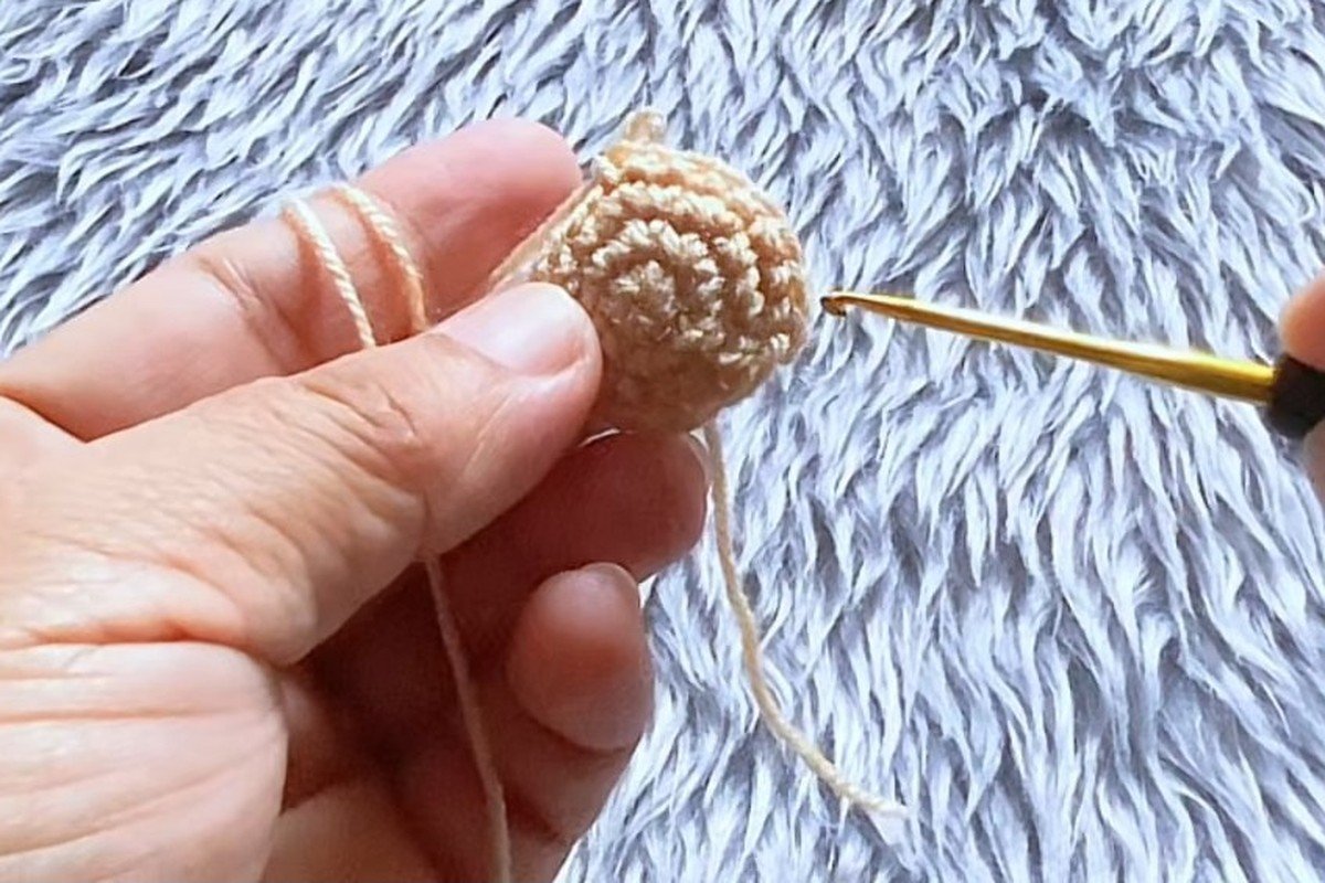 free crochet owl pattern step 5: rounds 4 to 6: the cream section