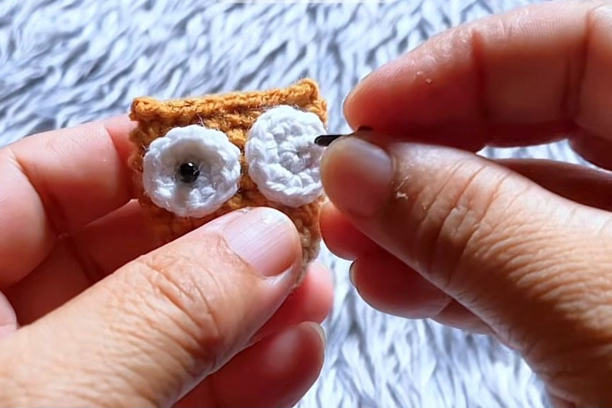 free crochet owl pattern step 16: add the black pupils